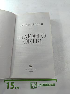 Из моего окна