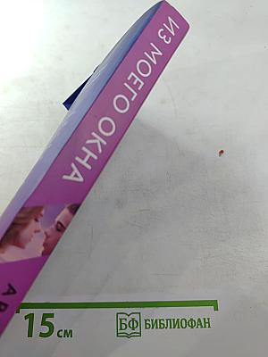 Из моего окна