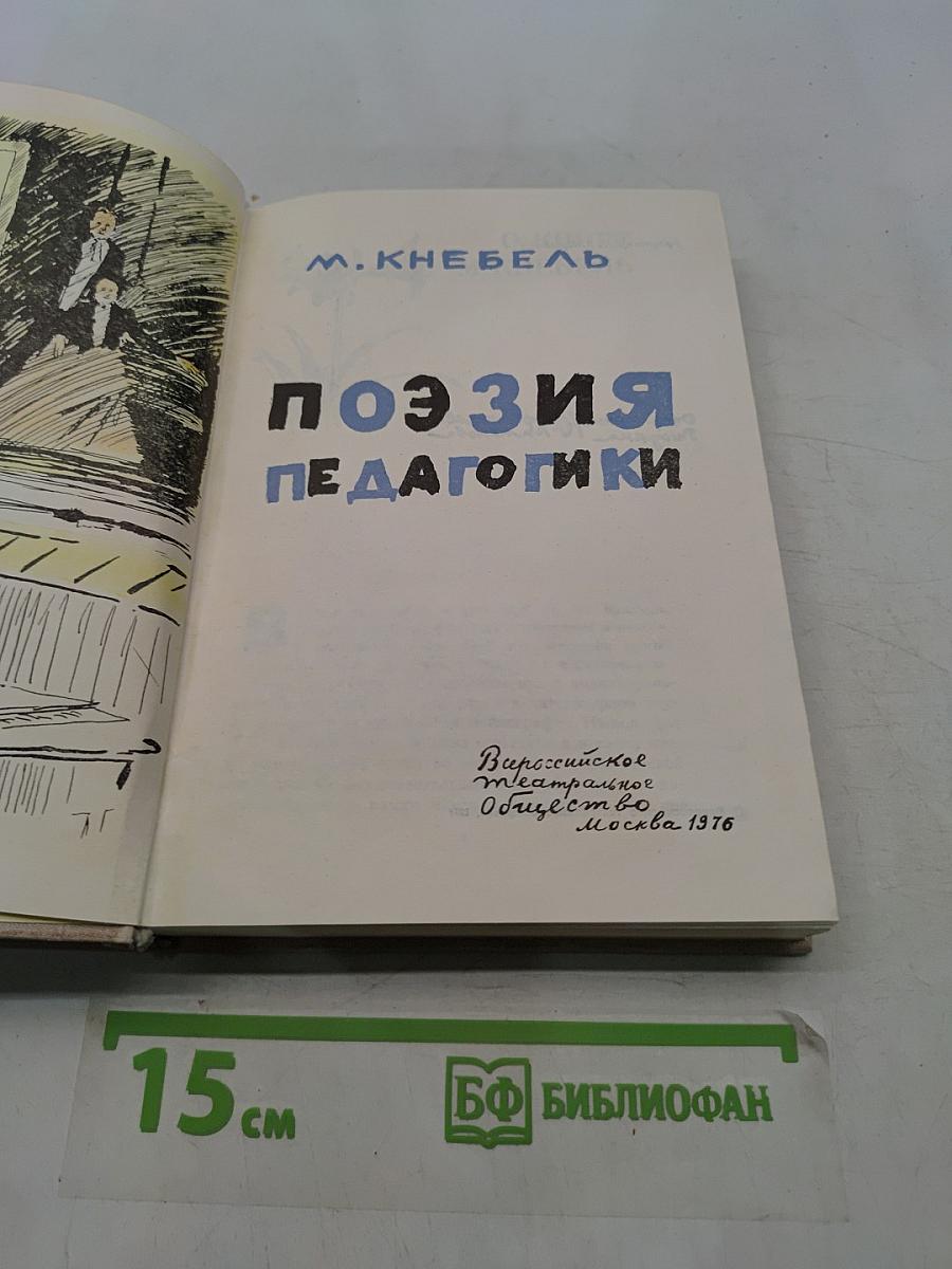 Поэзия педагогики