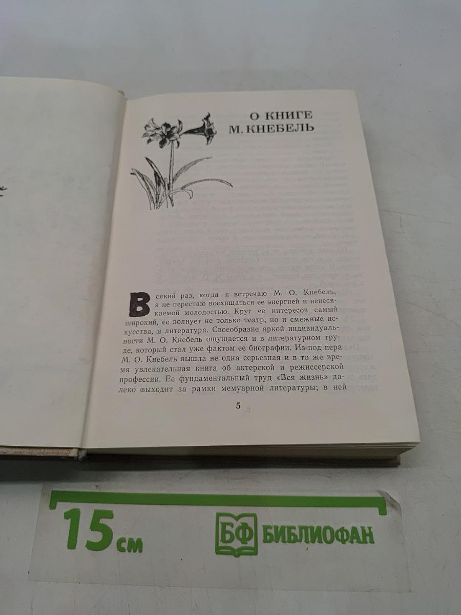 Поэзия педагогики