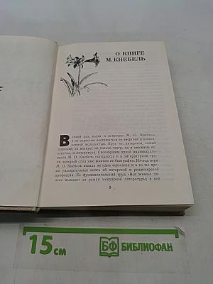 Поэзия педагогики