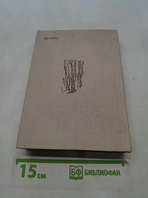 Поэзия педагогики