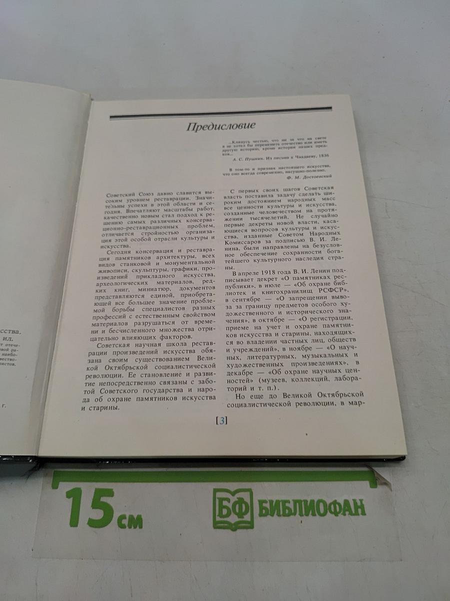 Спасенная красота. Рассказы о реставрации памятников искусства