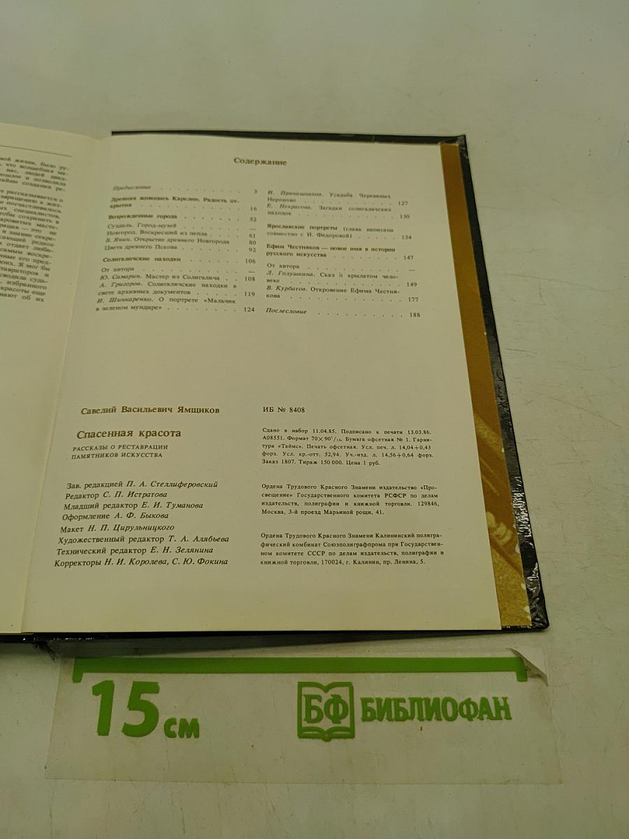Спасенная красота. Рассказы о реставрации памятников искусства