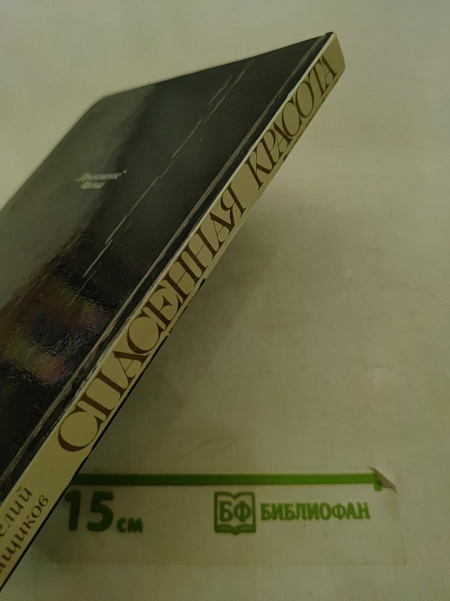 Спасенная красота. Рассказы о реставрации памятников искусства