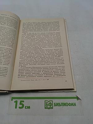 Флот под красным флагом революции