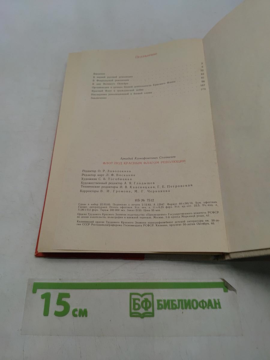 Флот под красным флагом революции