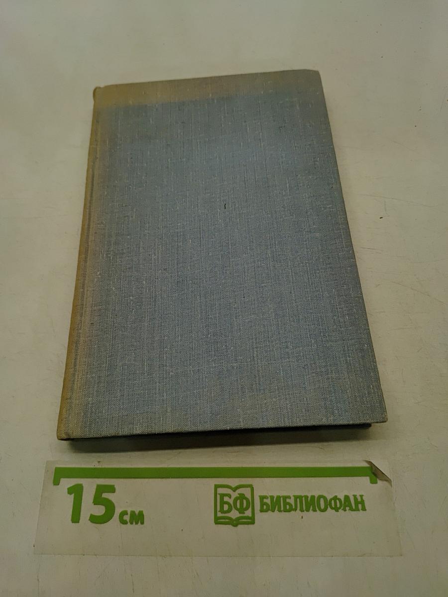 Зверобой. Залива. Мелвилла