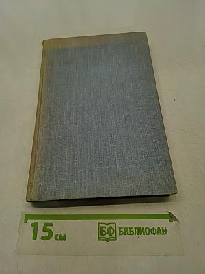 Зверобой. Залива. Мелвилла