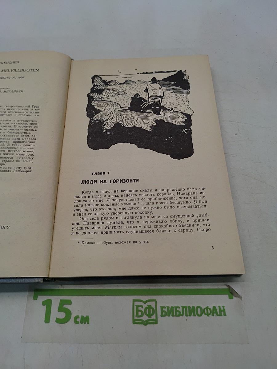 Зверобой. Залива. Мелвилла