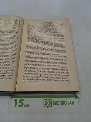 Зверобой. Залива. Мелвилла