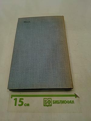 Зверобой. Залива. Мелвилла