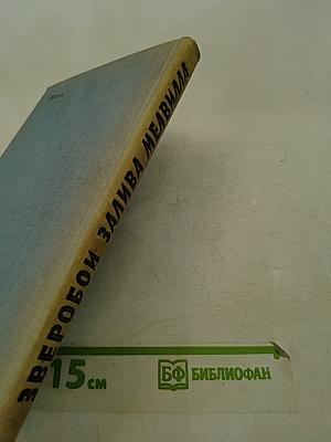 Зверобой. Залива. Мелвилла