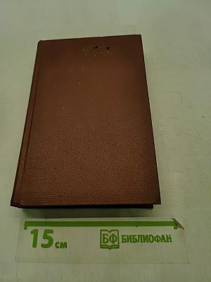 Стихотворения 1886-1917. Том первый