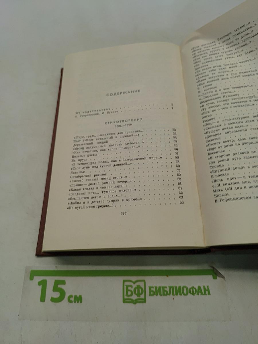 Стихотворения 1886-1917. Том первый