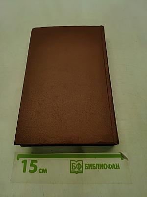 Стихотворения 1886-1917. Том первый