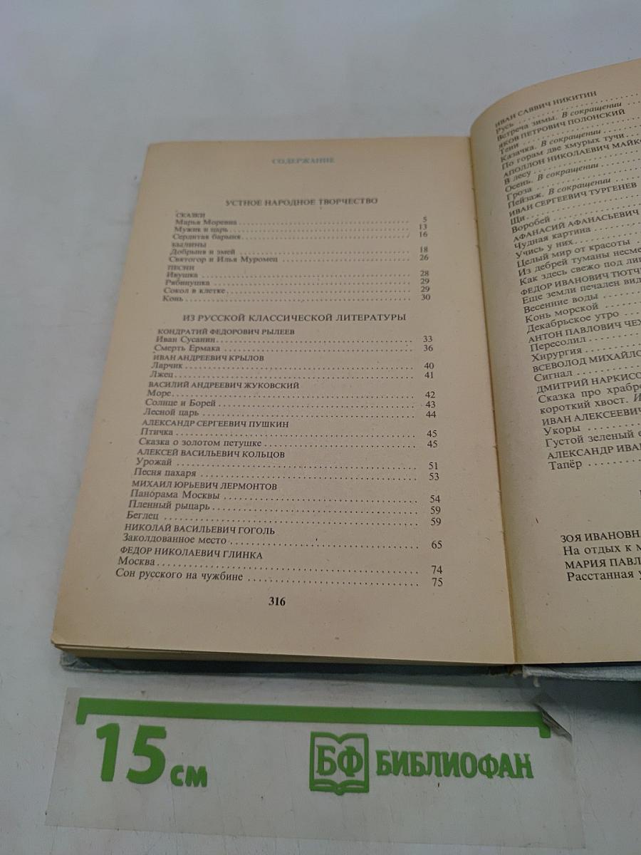 В мире русской литературы. Книга для внеклассного чтения. 5 класс