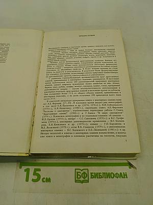 Ювелирные камни