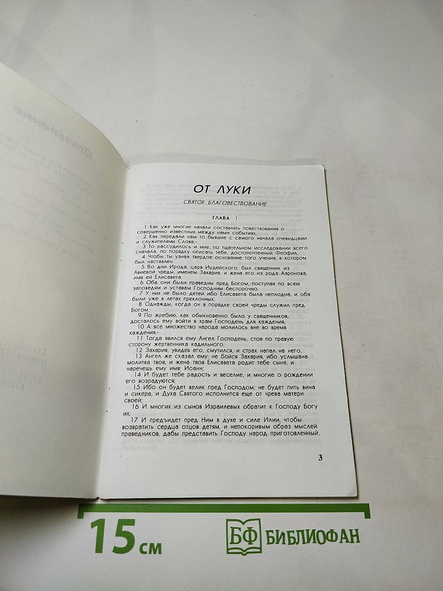 Иисус. Его история по Евангелию от Луки