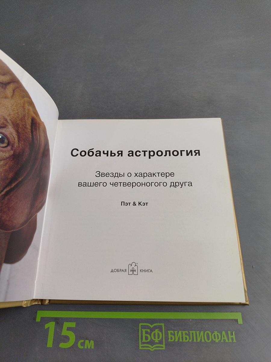 Собачья астрология. Что говорят звезды о характере вашего четвероногого друга