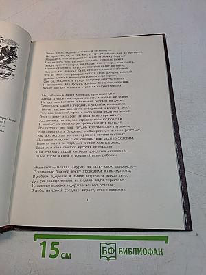 Времена года