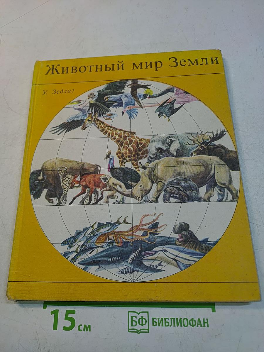 Животный мир Земли