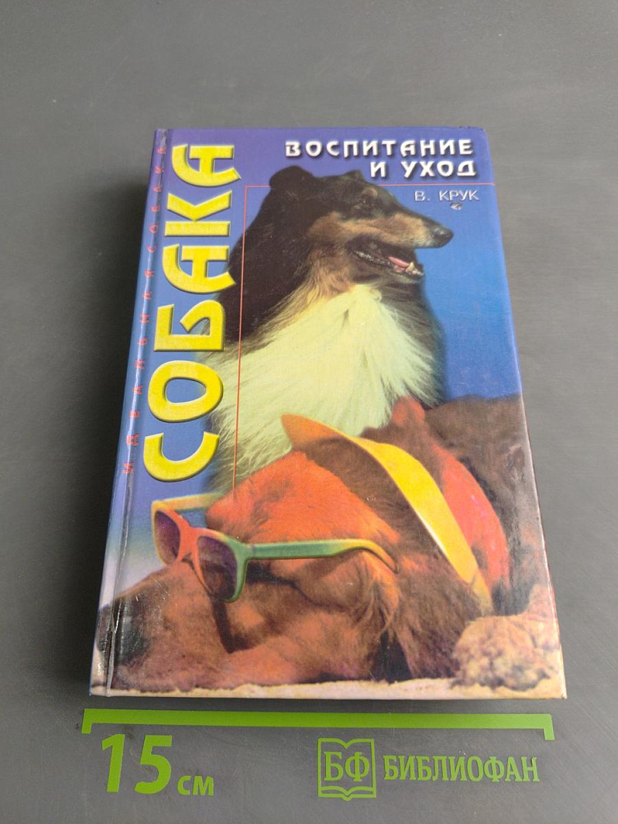 Собака. Воспитание и уход