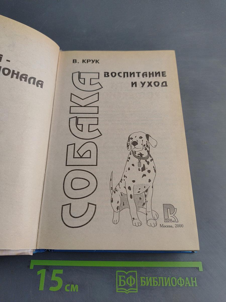 Собака. Воспитание и уход