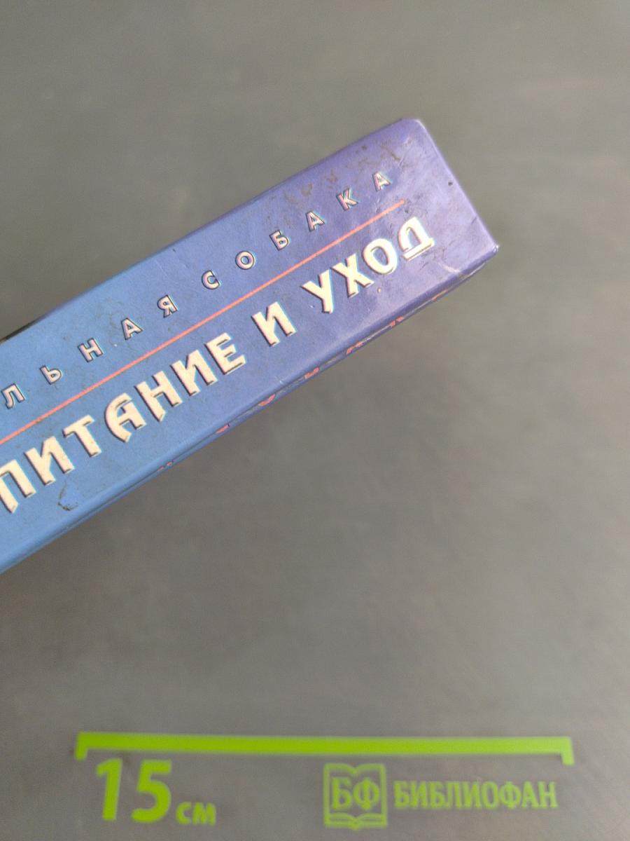 Собака. Воспитание и уход