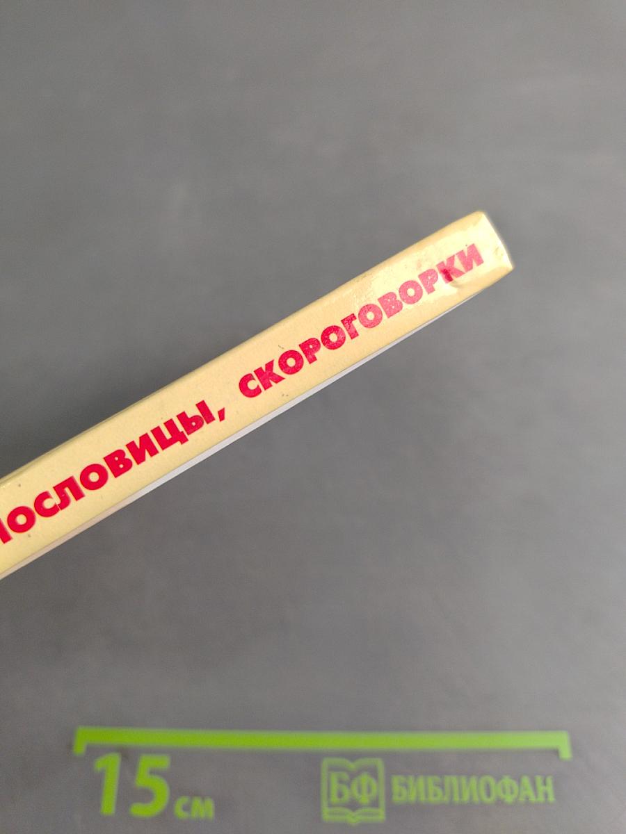 Хрестоматия школьника: Загадки, пословицы, скороговорки