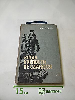Когда крепости не сдаются. Книга 2