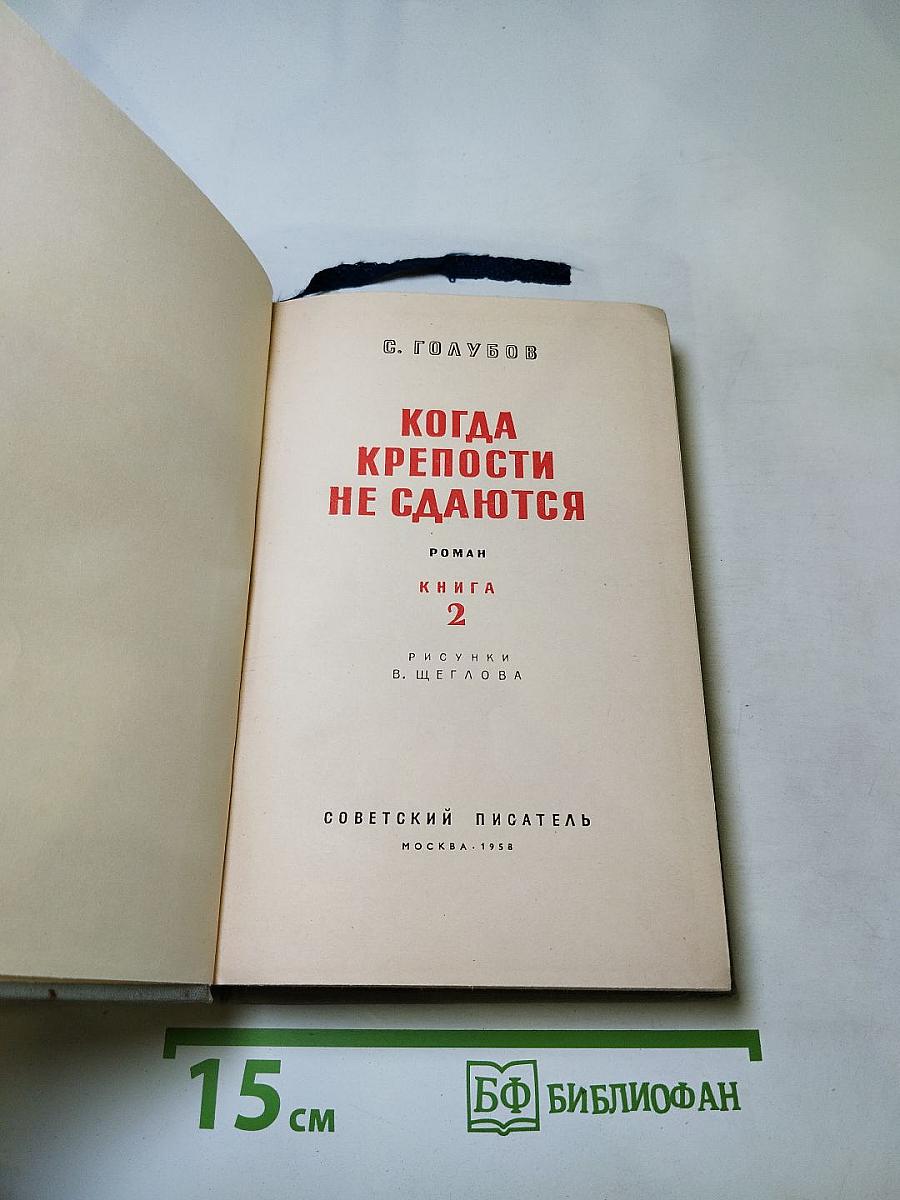 Когда крепости не сдаются. Книга 2