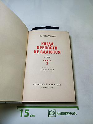 Когда крепости не сдаются. Книга 2