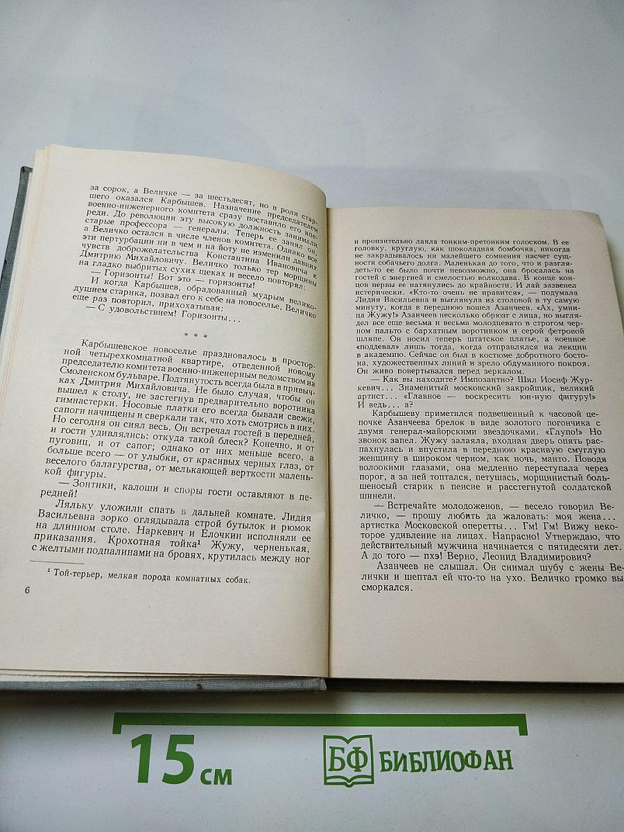 Когда крепости не сдаются. Книга 2
