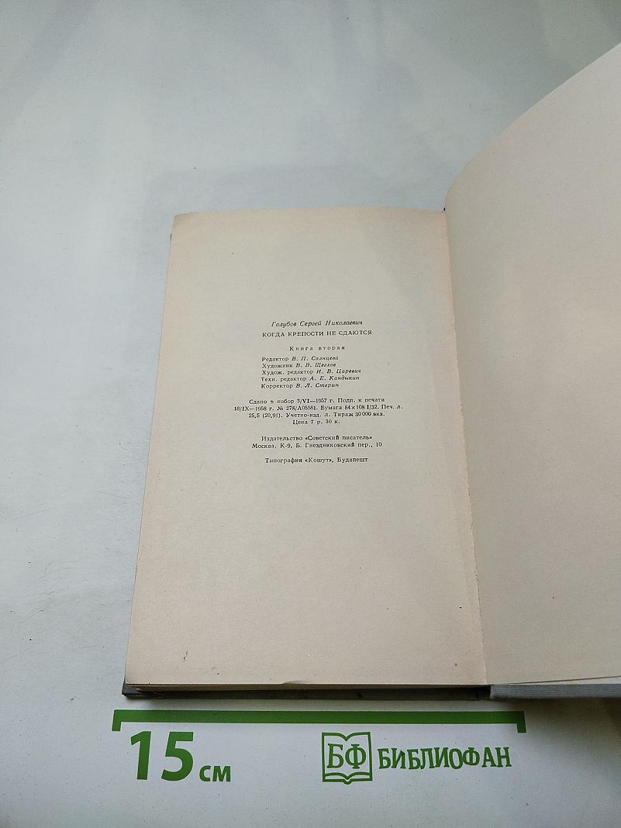 Когда крепости не сдаются. Книга 2