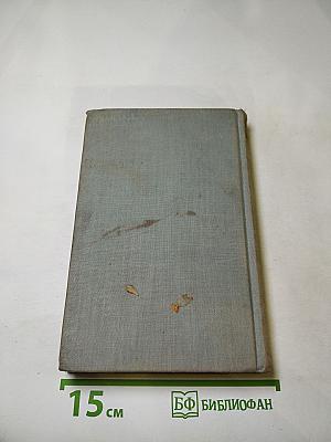 Когда крепости не сдаются. Книга 2