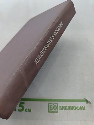Ленинградцы в Испании