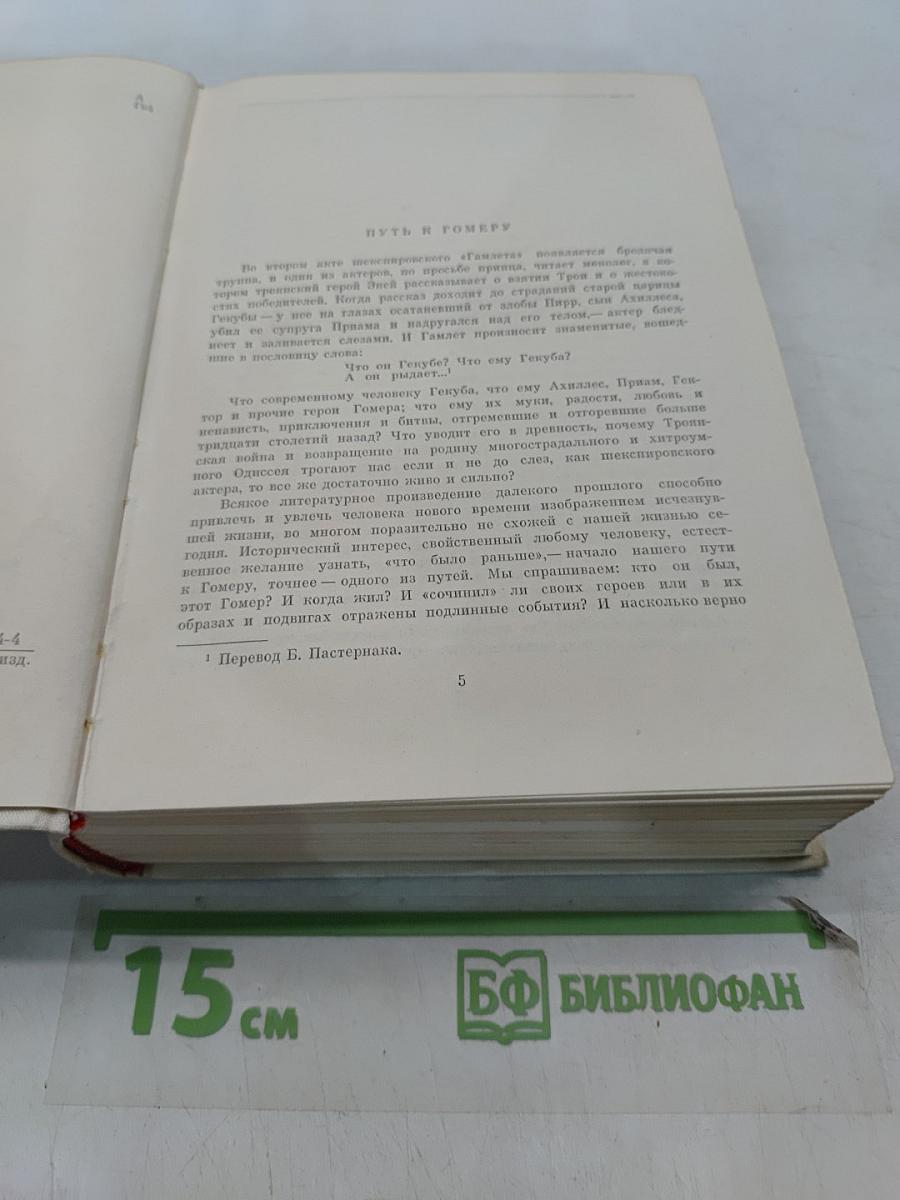 Илиада. Одиссея