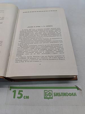 Былое и думы