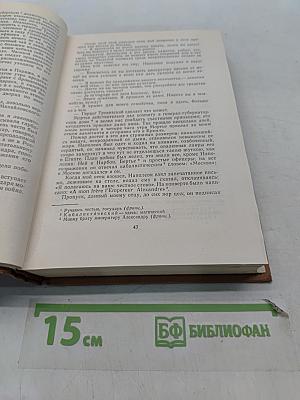 Былое и думы
