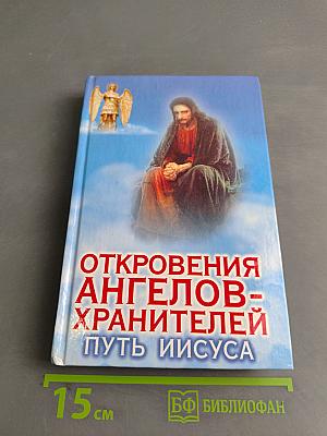 Откровения ангелов-хранителей. Путь Иисуса