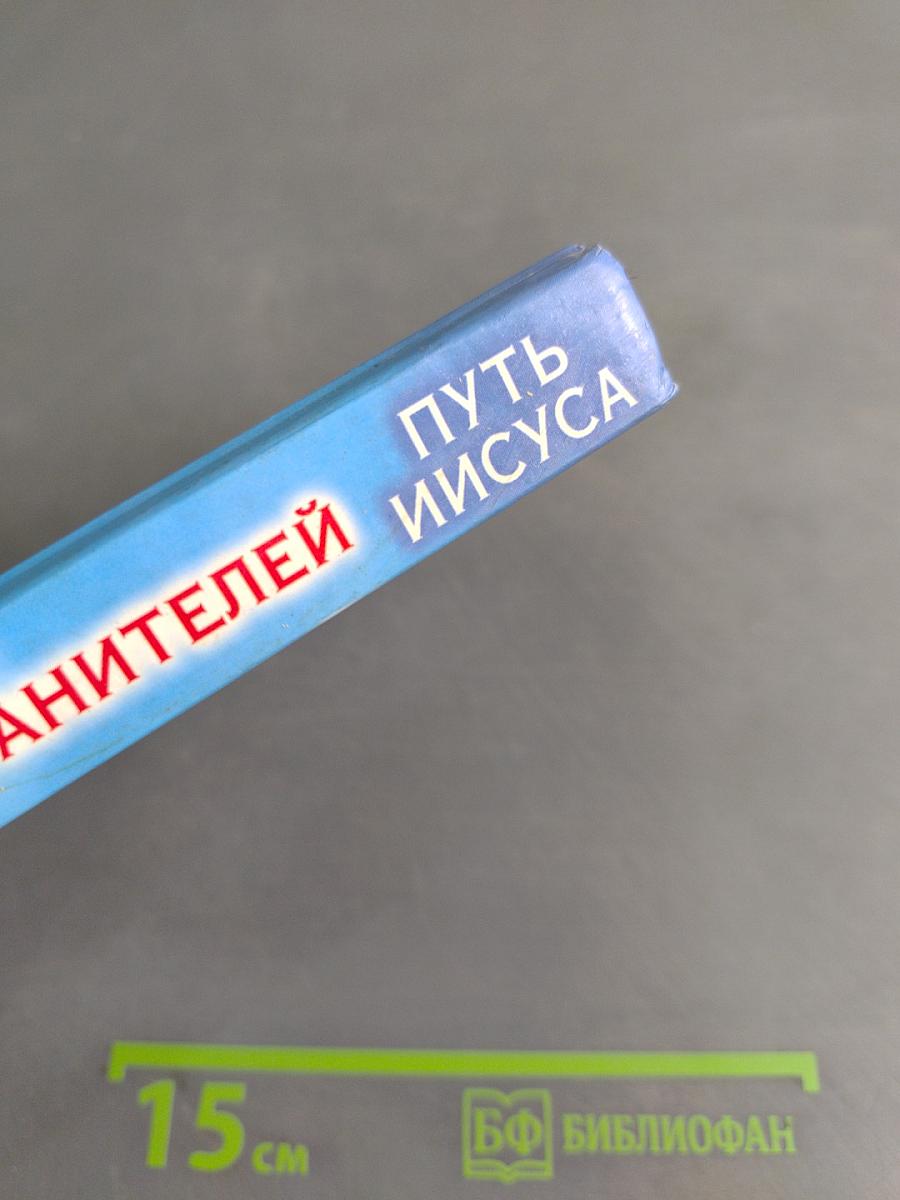 Откровения ангелов-хранителей. Путь Иисуса