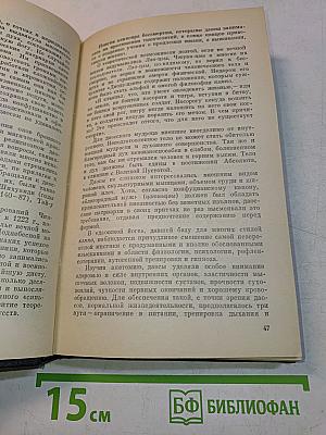 Кэмпо - традиция воинских искусств