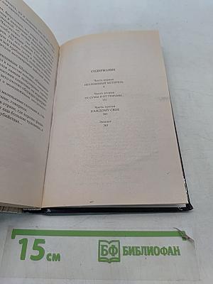 Мечта скинхеда