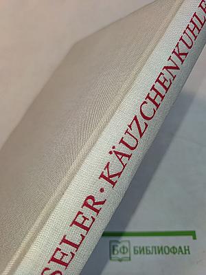 Käuzchen-Kuhle