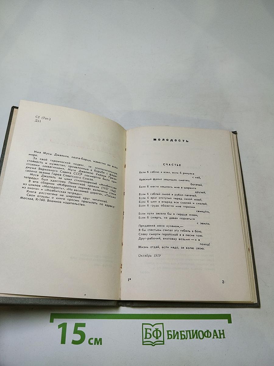 Избранная лирика