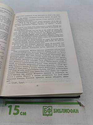 Тихий Дон. Роман в четырех книгах. Том II. Книга третья. Книга четвертая