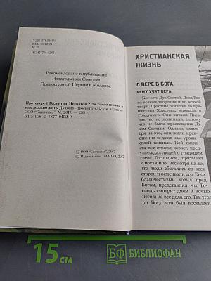 Что такое жизнь и как должно жить