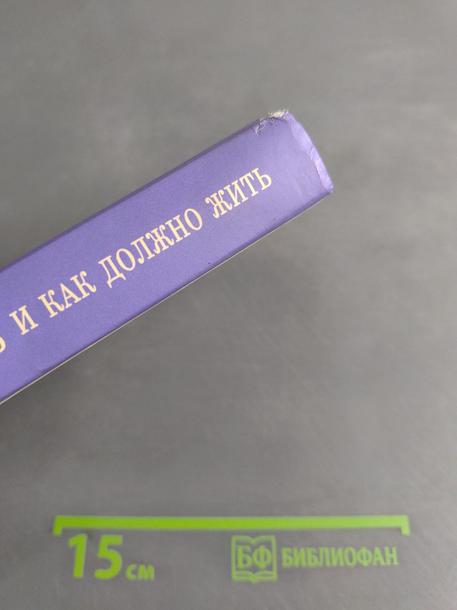 Что такое жизнь и как должно жить