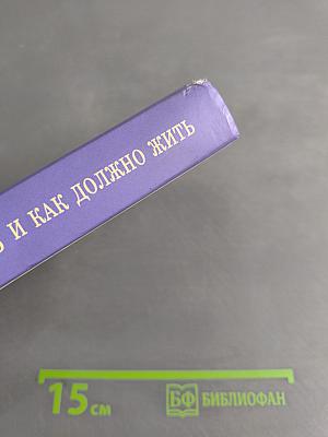 Что такое жизнь и как должно жить